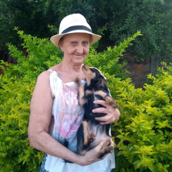 Maria Helena Chaves dos Santos