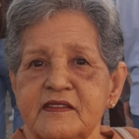 Margarida Gomes de Oliveira