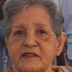 Margarida Gomes de Oliveira