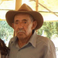 Antônio José de Abreu Filho