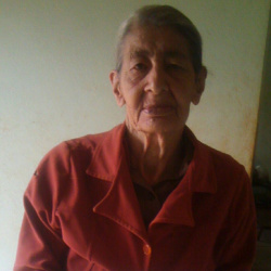 Terezinha  Flores de Jesus de Freitas