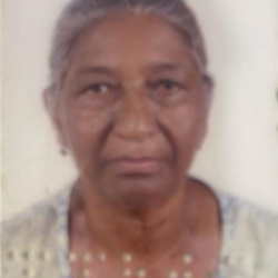 Vicentina Alves dos Santos