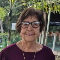 América Teixeira de Faria